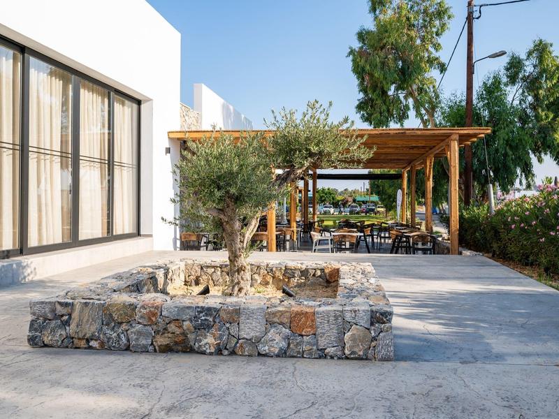 Area esterna moderna con giardino di pietra, ulivo e zona pranzo coperta accanto a edificio bianco.