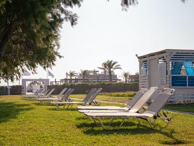 Lettini su un prato verde accanto a un piccolo edificio bianco con sole.