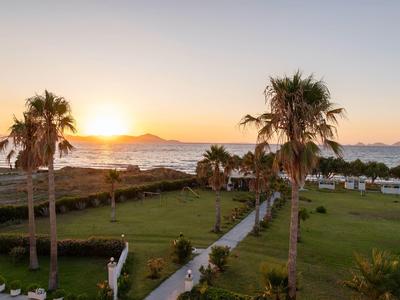 Tramonto su un giardino dell'hotel con palme e vista sul mare.