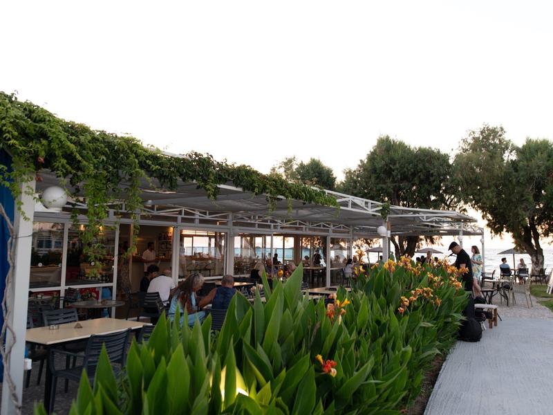 Area esterna di un ristorante con piante verdi e ospiti seduti ai tavoli sotto una pergola.
