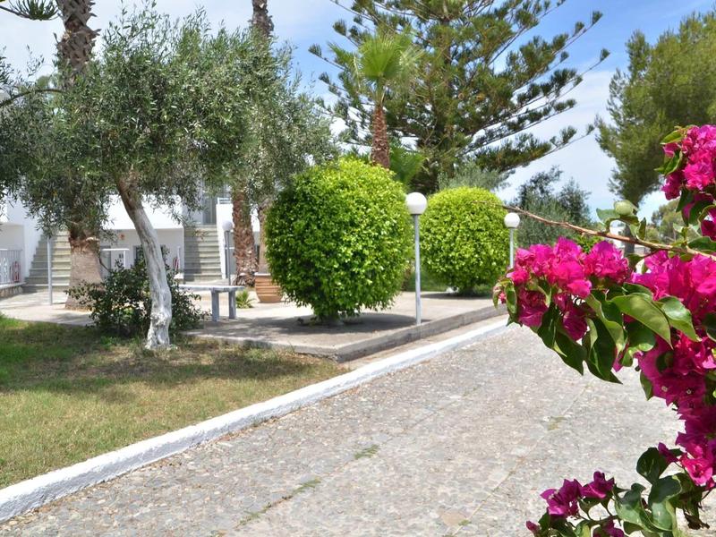 Dlážděná cesta s kvetoucími keři a upravenými stromy v hotelové oblasti.