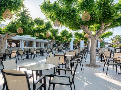 Freiluftterrasse mit Tischen und Stühlen unter großen schattenspendenden Bäumen.