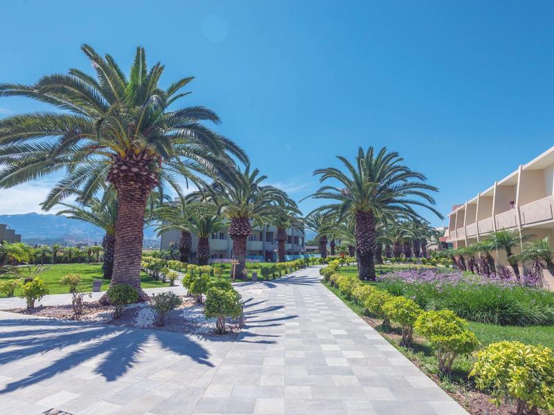 Camino ancho con palmeras y jardines cuidadores frente a un hotel bajo cielo despejado.