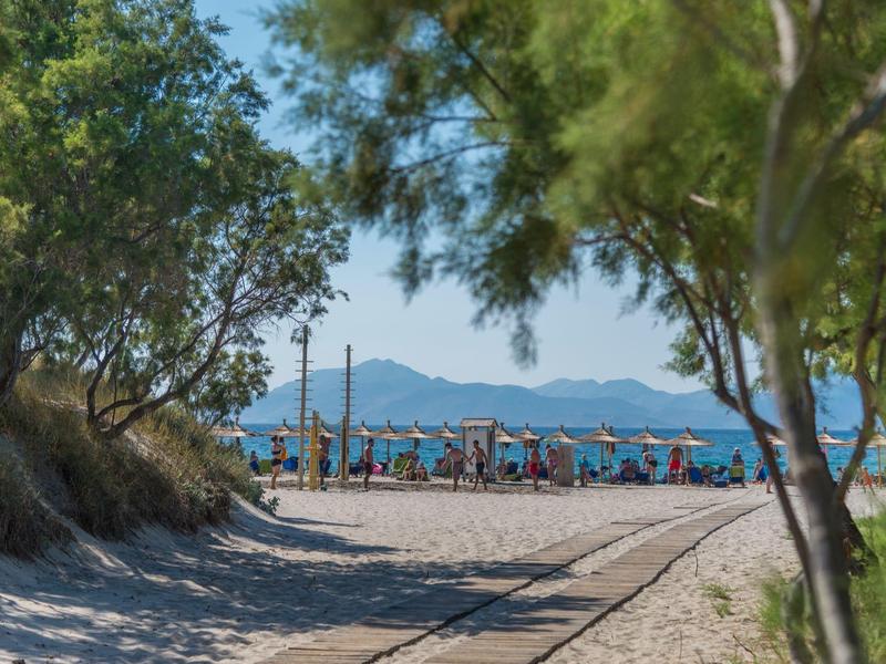 Camino de playa con árboles y sombrillas a lo lejos junto al mar bajo un cielo azul.