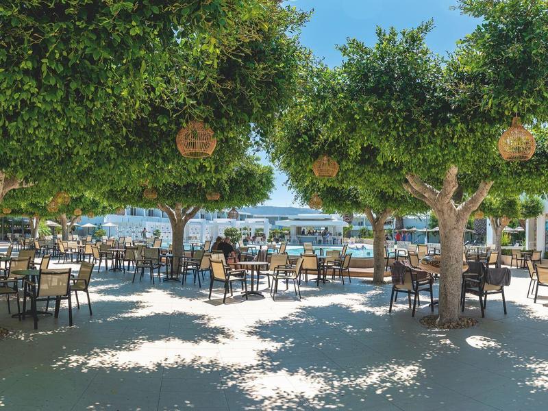 Terraza exterior soleada con mesas y sillas bajo árboles verdes en un lugar turístico.
