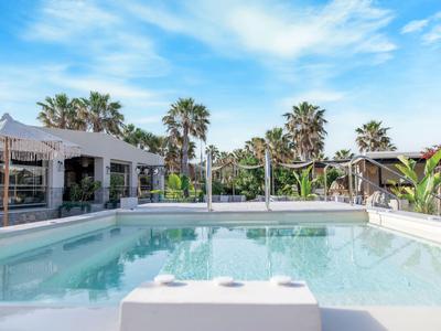 Moderner Außenpool mit Liegebereich und Palmen im sonnigen Hotelgarten