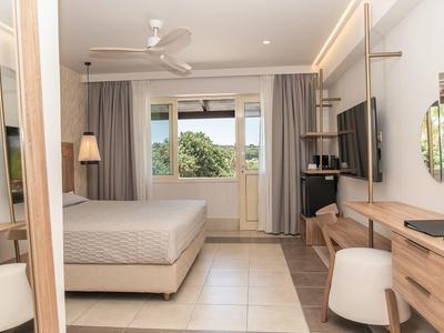 Světý hotelový pokoj s postelí, televizí, psacím stolem, židlí a velkým oknem s výhledem na zeleň.