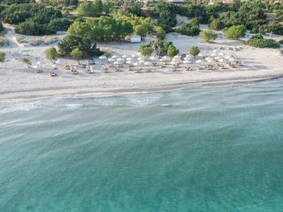 Luftaufnahme eines Hotels am Strand mit Sonnenliegen und grüner Umgebung.