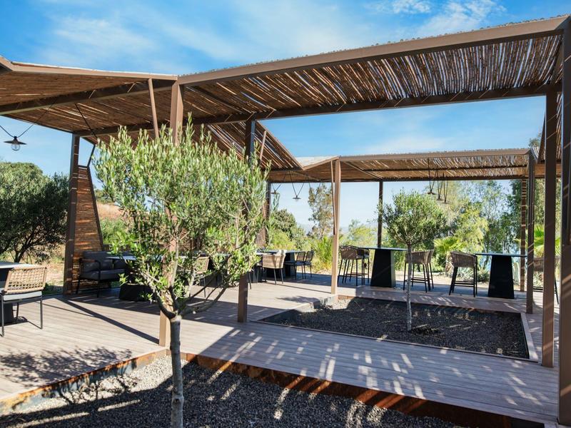 Moderní venkovní prostor s pergolou, sezením a olivovníky pod modrou oblohou.