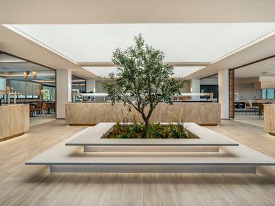Modern hotel lobby with central tree and minimalist benches in a bright setting.