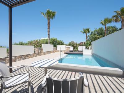Modern outdoor area with small pool, chairs, and palm trees under clear sky.