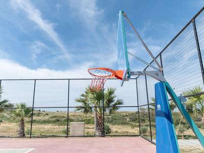 Campo da basket con canestro, recinzione e palme sotto un cielo azzurro.