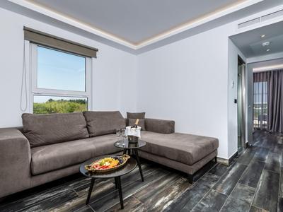 Modern living room with gray sofa, black coffee table, and outdoor view.