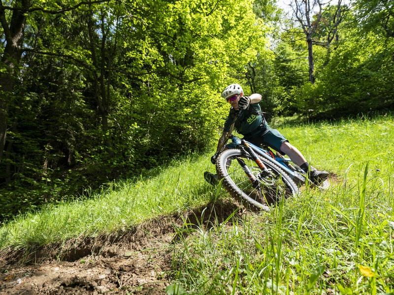 Fahrradfahrer fährt auf grünem Hang mit Bäumen im Hintergrund an sonnigem Tag.
