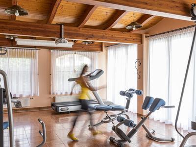 Moderne Trainingsgeräte in einem hellen Fitnessraum mit Holzdecke und großen Fenstern.