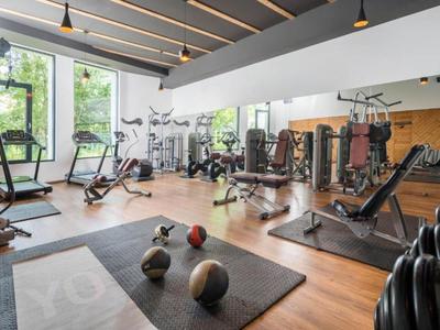 Heller Fitnessraum mit verschiedenen Trainingsgeräten und Hanteln vor großen Fenstern.