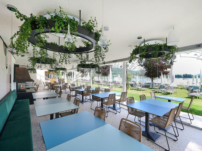 Ristorante moderno con tavoli blu, sedie in legno e piante sospese accanto a grandi finestre.