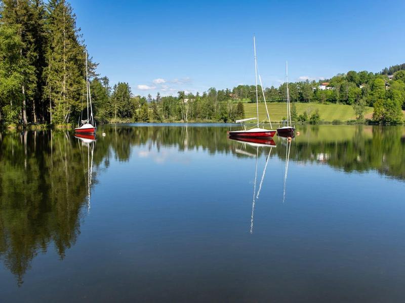 Twee zeilboten liggen op een rustig meer omringd door bomen en groene heuvels.