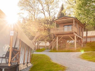 Sonniger Campingplatz mit Zelt und erhöhtem Holzhäuschen umgeben von Bäumen und Wiese.