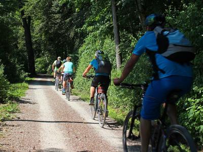 Gruppe von Radfahrern auf einem schattigen Waldweg, umgeben von dichtem grünen Laub.