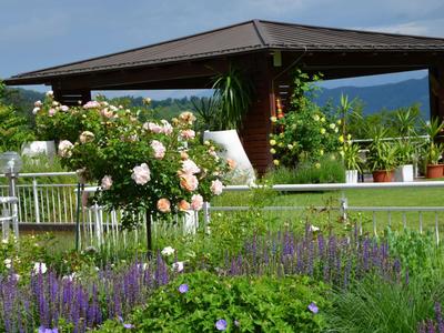 Garten mit blühenden Blumen und einem Pavillon im Hintergrund bei klarem Himmel.