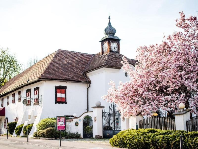 Weißes Gebäude mit rotem Dach, Uhrturm und blühendem pinkem Baum daneben im Frühling.