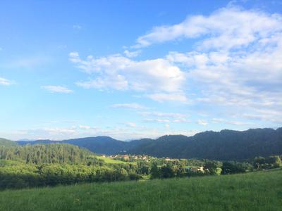 Grüne Wiesen und Wälder vor bewaldeten Hügeln unter blauem Himmel mit einigen Wolken.