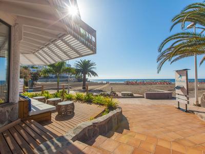 Terrasse ensoleillée avec palmiers et vue sur la plage et la mer.