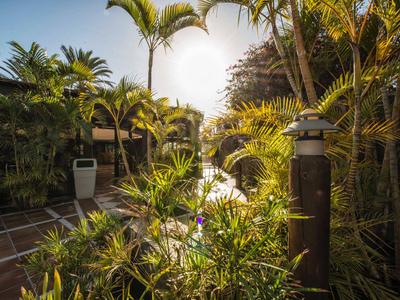 Sunny garden path with palm trees and plants between buildings at a hotel.