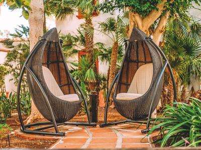 Dos modernas sillas colgantes de mimbre con cojines en un jardín con plantas tropicales.
