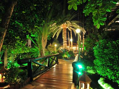 Camino de madera iluminado que atraviesa un jardín tropical con palmeras y vegetación densa por la noche.