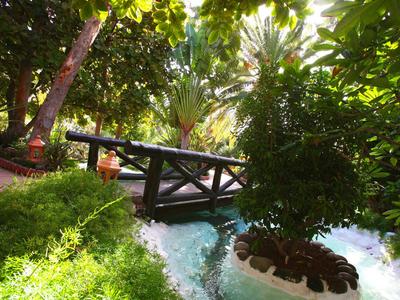 Giardino rigoglioso con piccolo stagno e ponte di legno nel contesto dell'hotel.