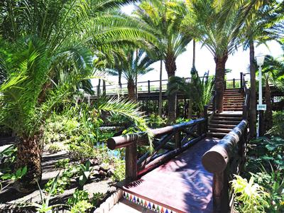 Puente de madera en jardín tropical con palmeras y vegetación exuberante