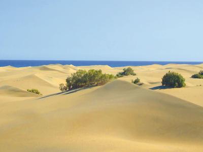 Dunas de arena con algunos arbustos verdes y cielo azul claro en el horizonte