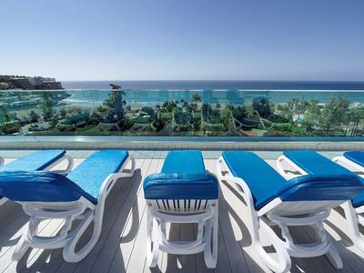 Row of sun loungers overlooking a pool, palm trees, and the ocean under a clear blue sky.