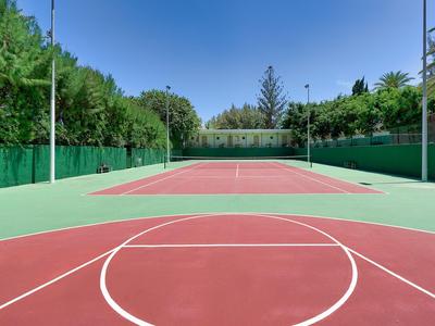 Pista de tenis al aire libre con tierra roja rodeada de árboles verdes y cercas.