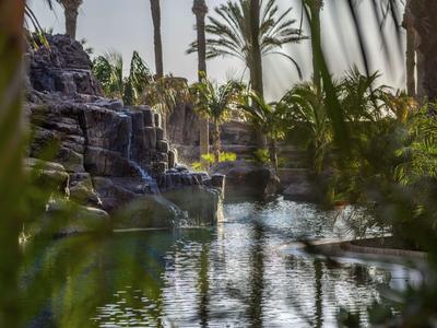 Ein tropischer Pool mit Wasserfällen umgeben von Palmen und Pflanzen.