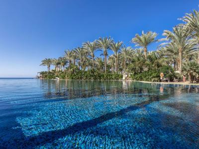 Infinity-Pool vor tropischer Kulisse mit Palmen und klarem blauem Himmel