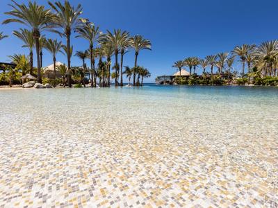 Klares Wasser mit heller Mosaikstruktur vor Palmen und blauem Himmel am Strand