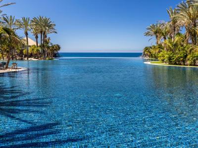 Gran piscina infinita con agua azul, rodeada de palmeras y cielo despejado junto al mar.
