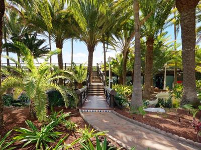 A palm-lined path with a bridge in a tropical garden setting.