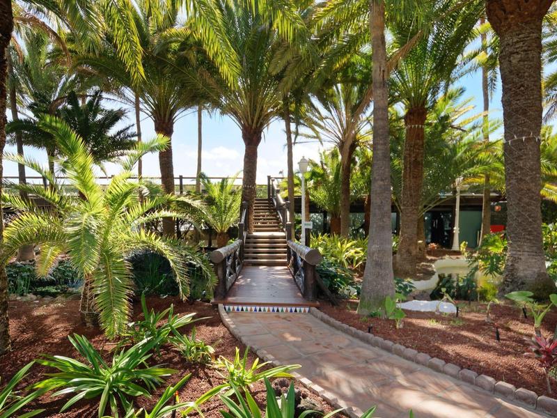A palm-lined path with a bridge in a tropical garden setting.