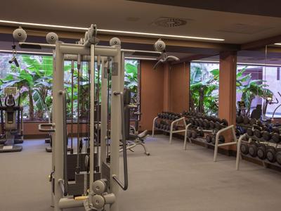 Fitnessruimte met verschillende trainingsapparaten en halters naast grote ramen met uitzicht op groen gebladerte.