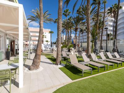 Taras hotelowy z leżakami i palmami pod czystym niebieskim niebem