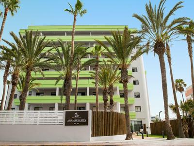 Modern green and white hotel surrounded by tall palm trees under a clear blue sky.
