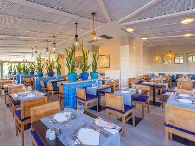 Spacious hotel restaurant with wooden tables, blue cushioned chairs, and decorative plants.