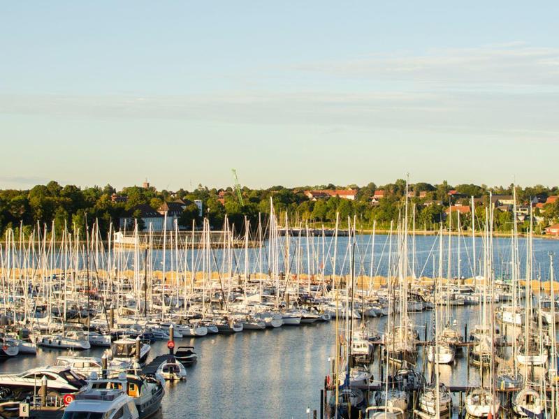Vue sur un port rempli de voiliers devant une rive boisée sous un ciel clair.