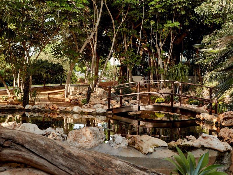 Rustikaler Holzsteg führt über einen kleinen Teich im tropischen Garten