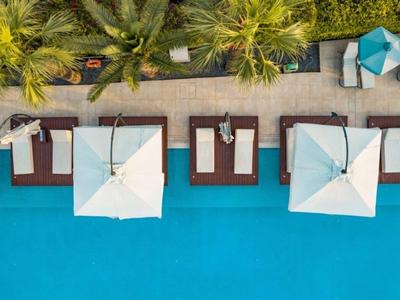 Aerial view of pool with white umbrellas, lounge chairs, and palm trees.