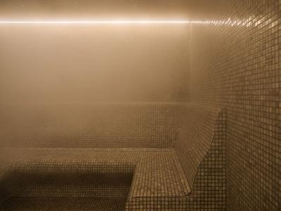 Bagno turco con pareti e panche piastrellate marroni, atmosfera umida densa.